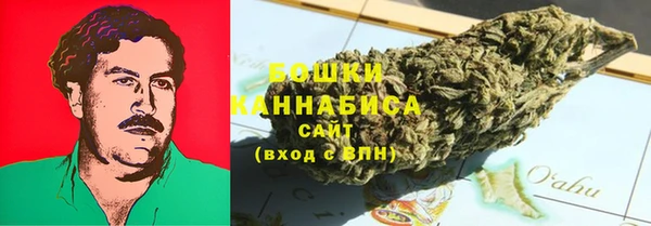 гидра Медвежьегорск
