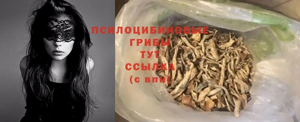 spice Медногорск