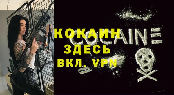 сатива Мегион