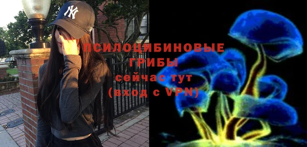 сатива Мегион